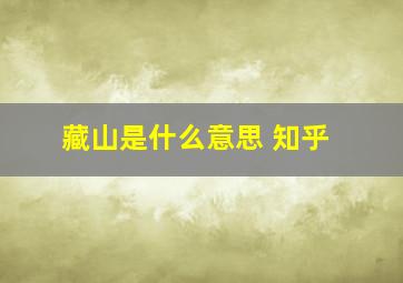 藏山是什么意思 知乎